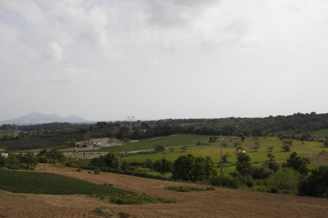 Bed & Breakfast Sa Madona De Sa Pleta Muro