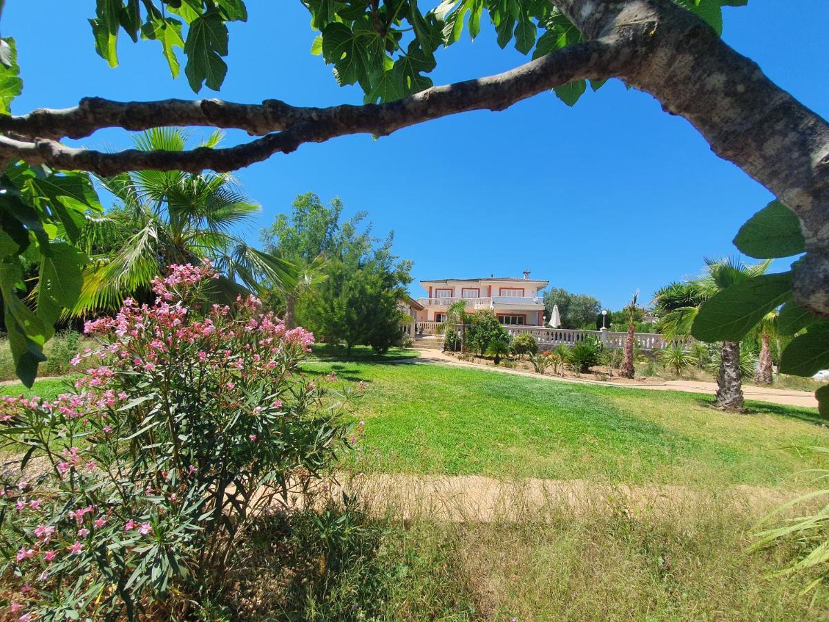 Villa Velo Marratxi