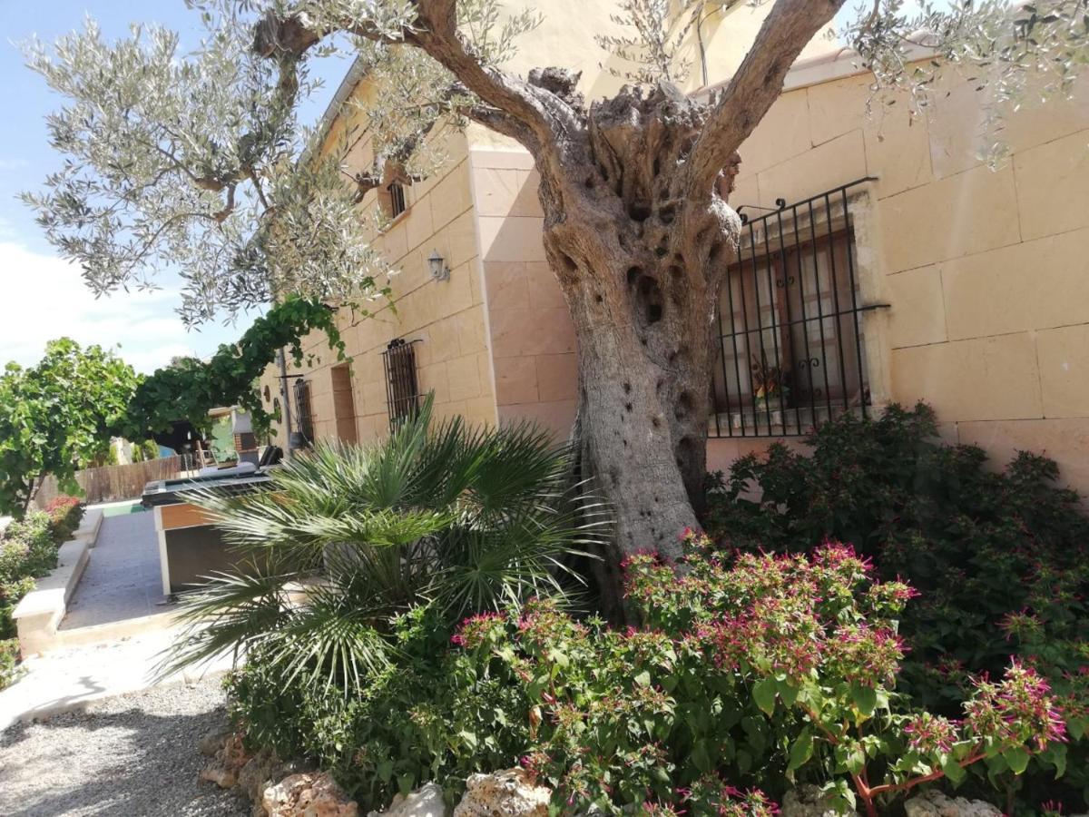 Rebassó Inca (Mallorca)
