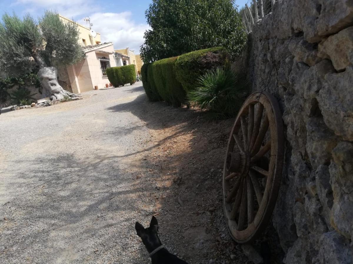 Rebassó * Inca (Mallorca)