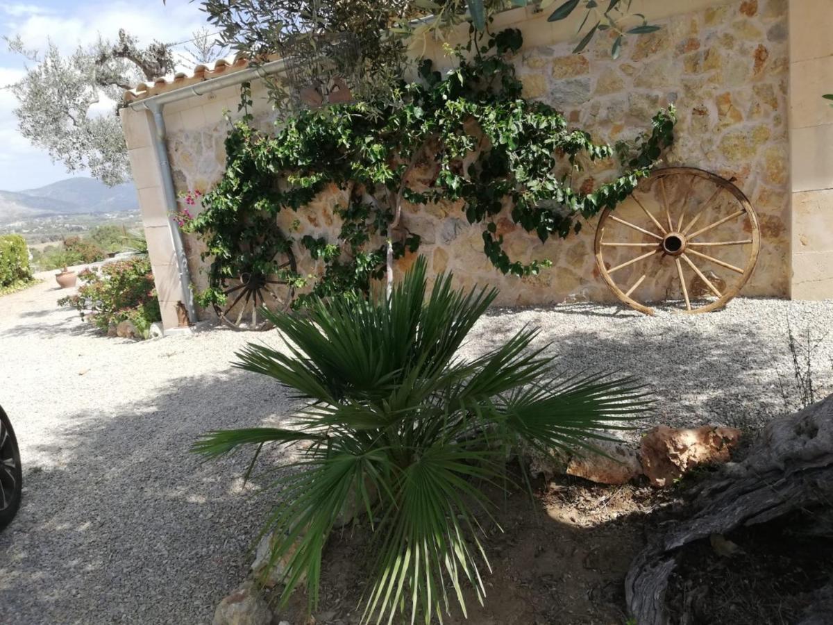 Villa Rebassó Inca (Mallorca)
