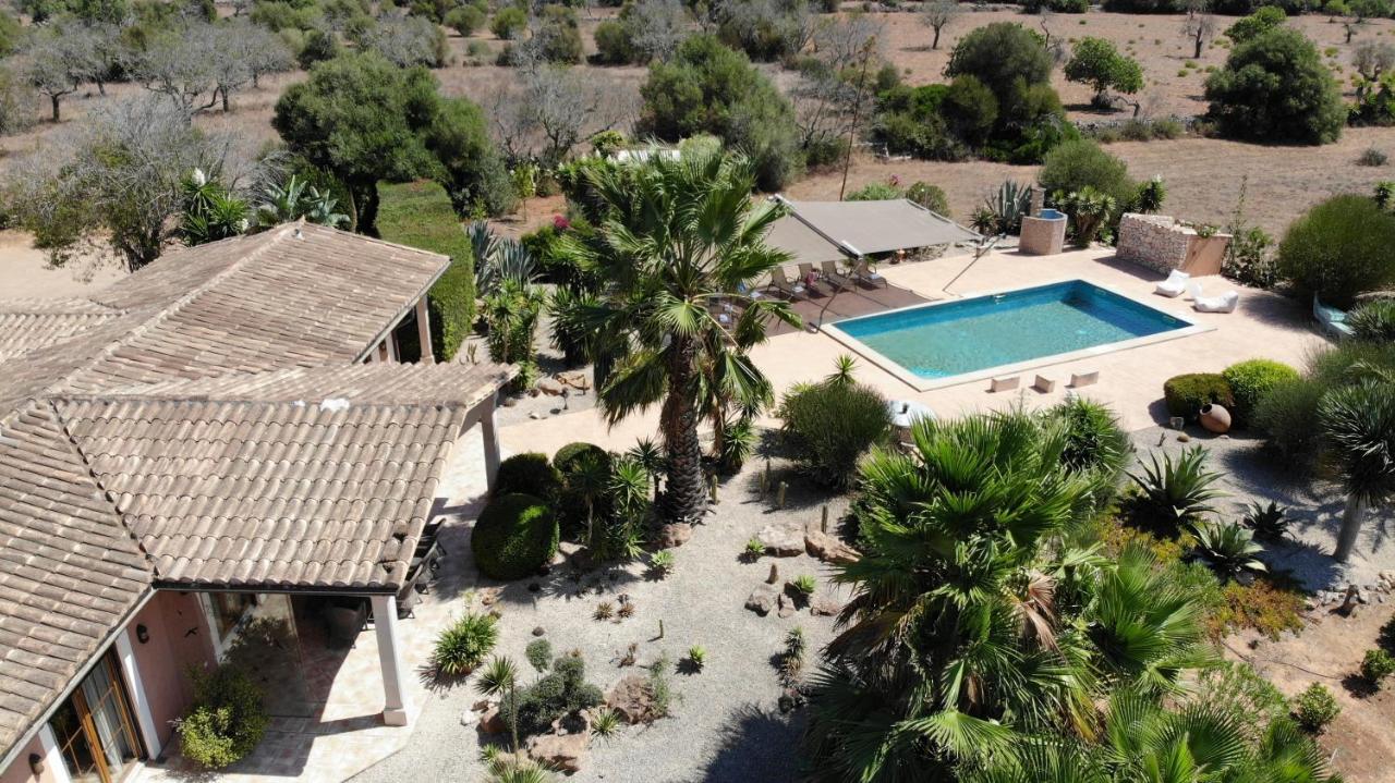 Casa Mas Villa