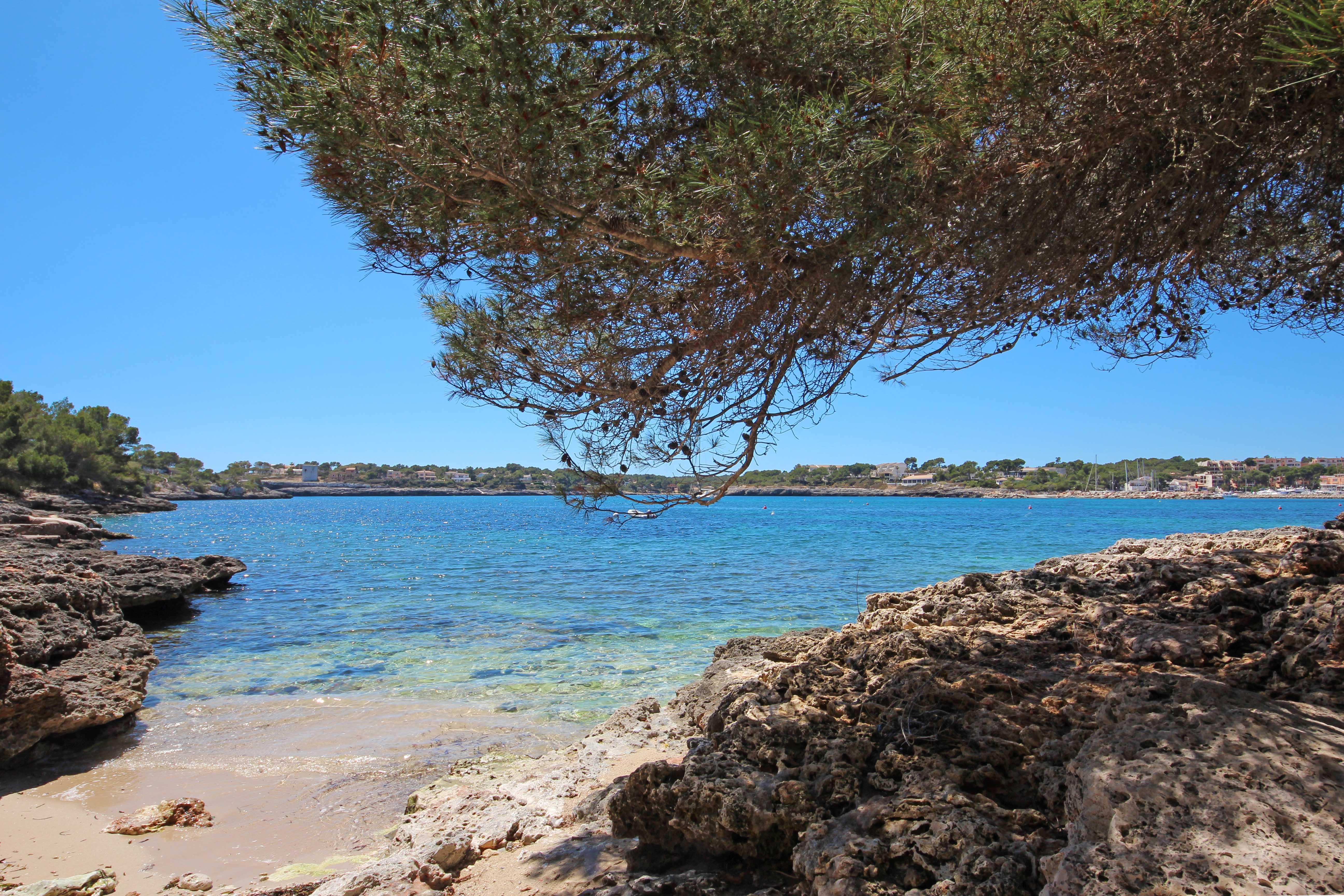 Niu D'aus Portopetro