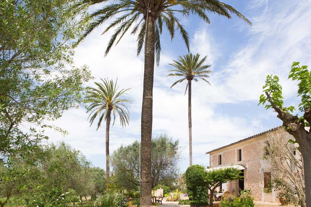 Es Pla De Llodra * Manacor (Mallorca)