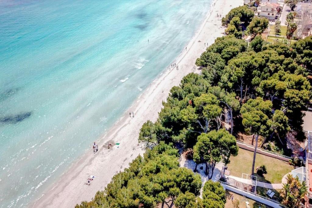 Villa Magnifica En De Playa De Muro *