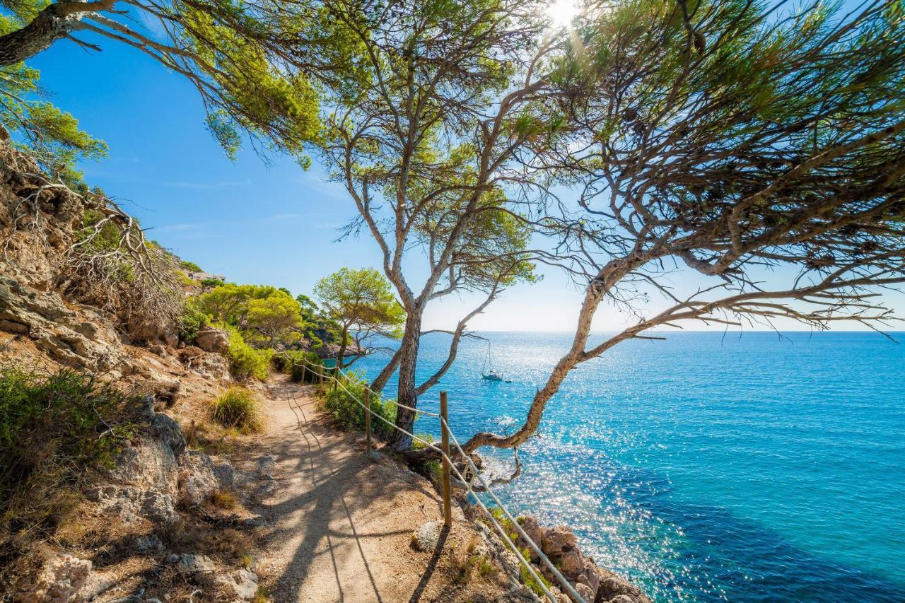 Massanet 2b Apartamento Canyamel (Mallorca)