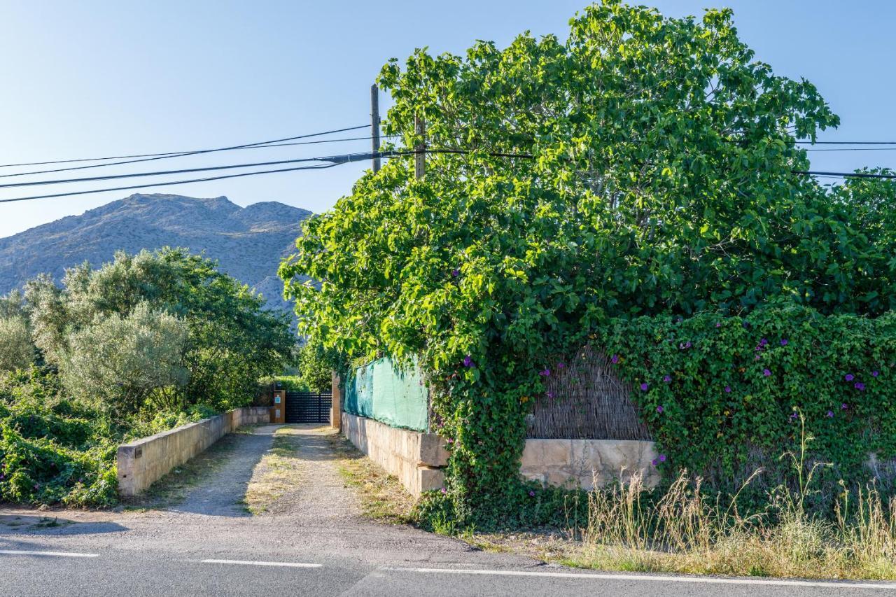 Alfonsa Villa