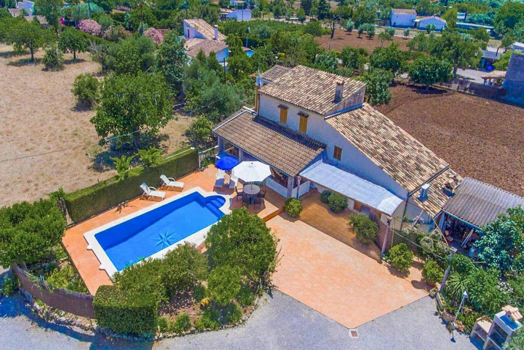 Tomeu Pollensa