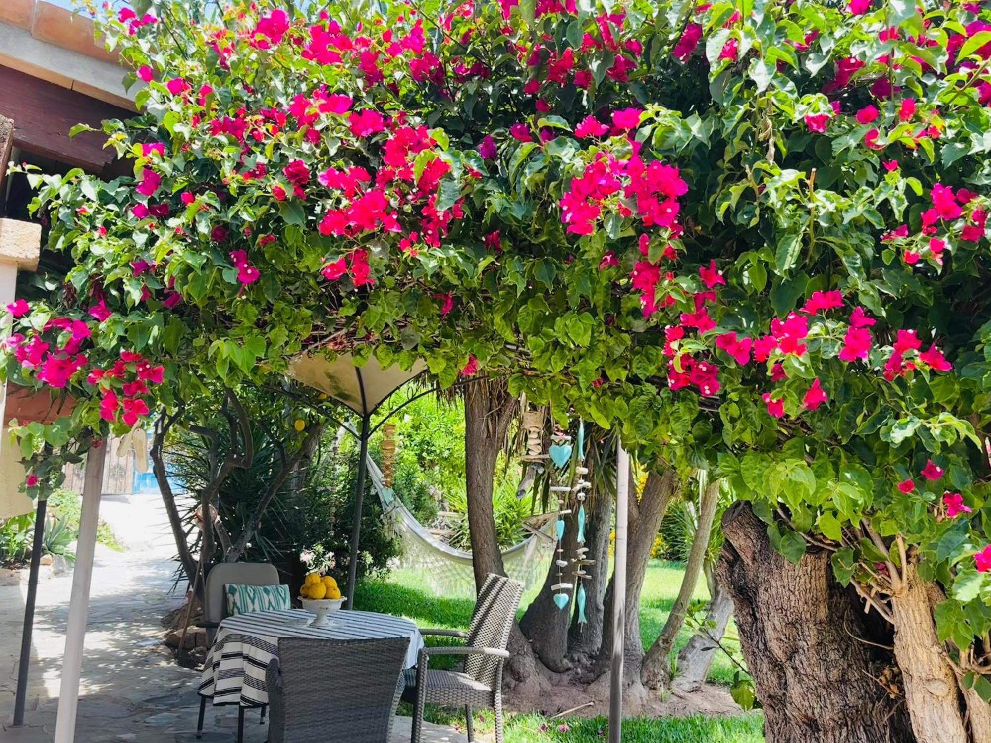 Casita Limon Holiday home Andratx