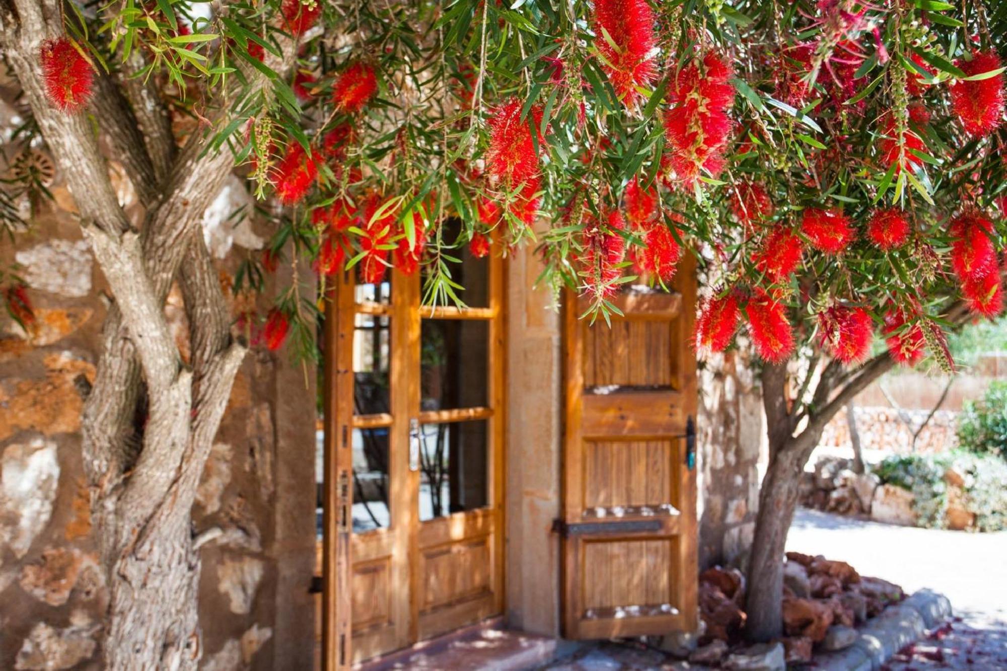 Casa S'hort - Rita Villa *