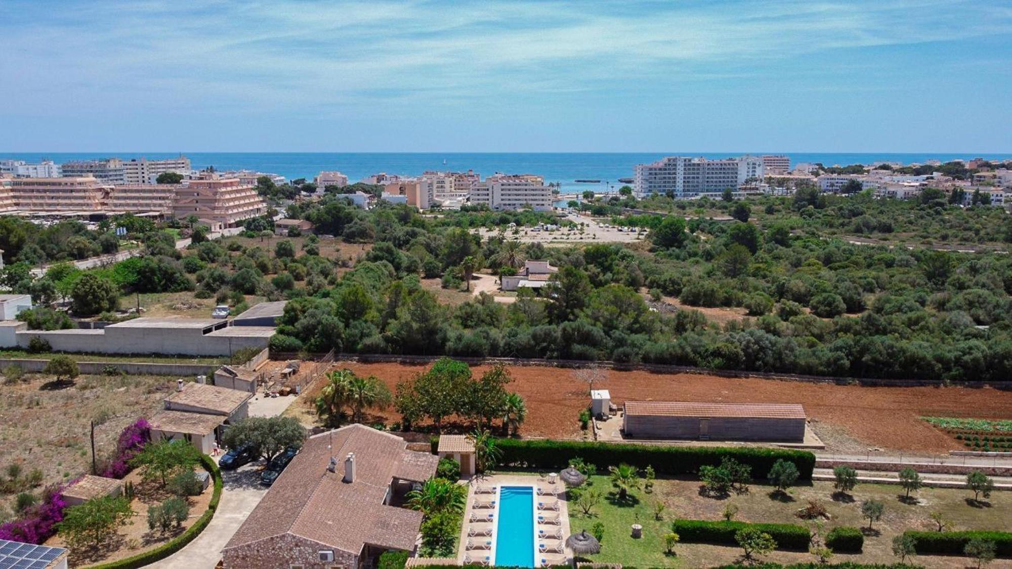 Amer Ref 256 * S'Illot (Mallorca)