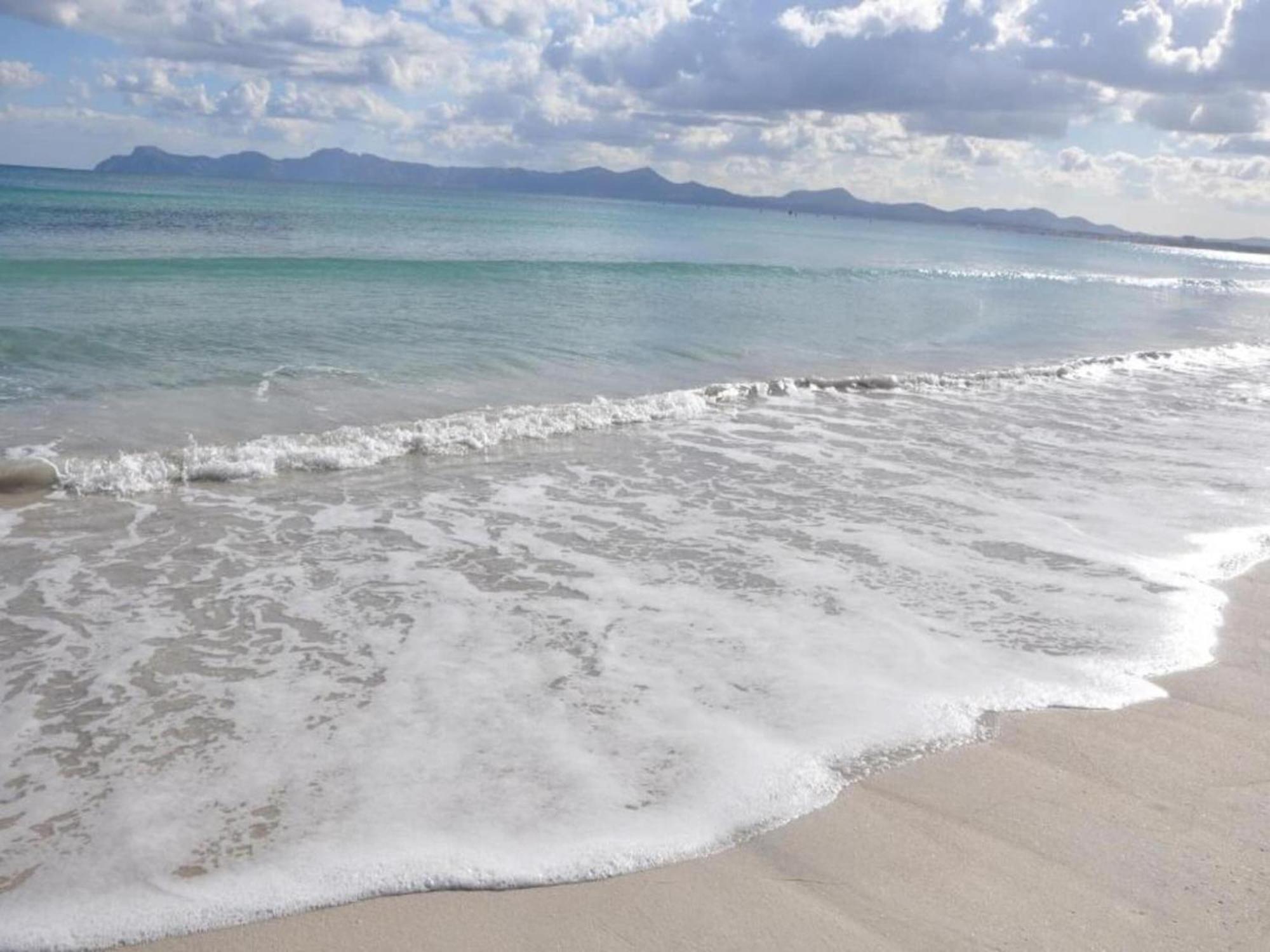 Seafront Apartment, 200m From Port de Alcudia (Mallorca)