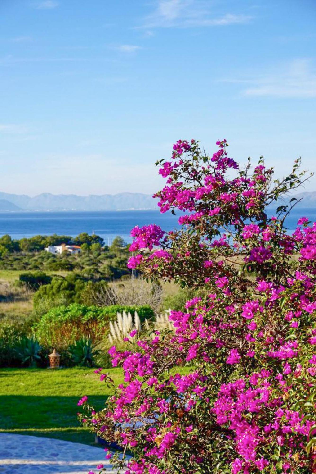 Colonia - 5586-27 Mallorca Villa Colonia de San Pedro