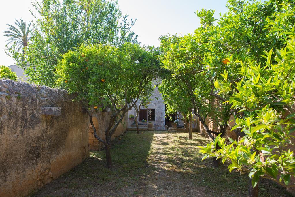 Es Pla De Llodra Manacor (Mallorca)