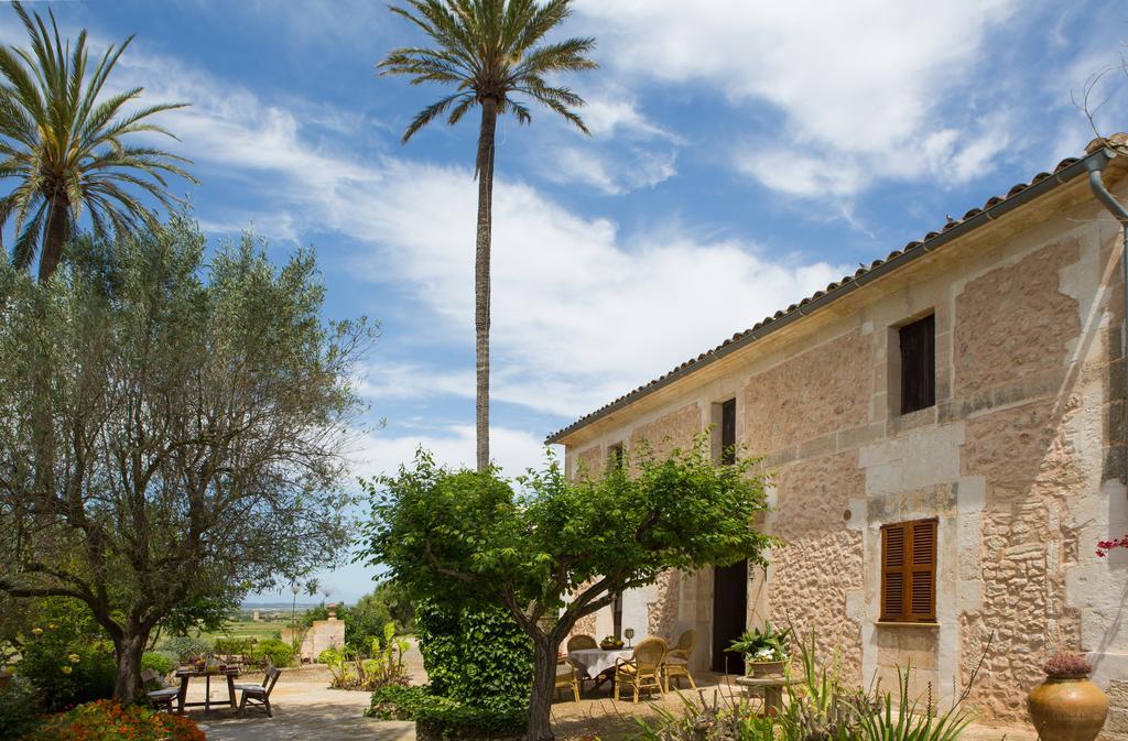 Es Pla De Llodra * Manacor (Mallorca)