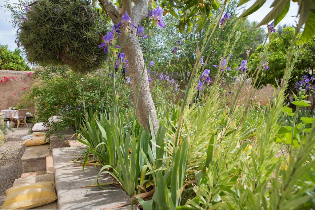 Farm stay Es Pla De Llodra Manacor (Mallorca)