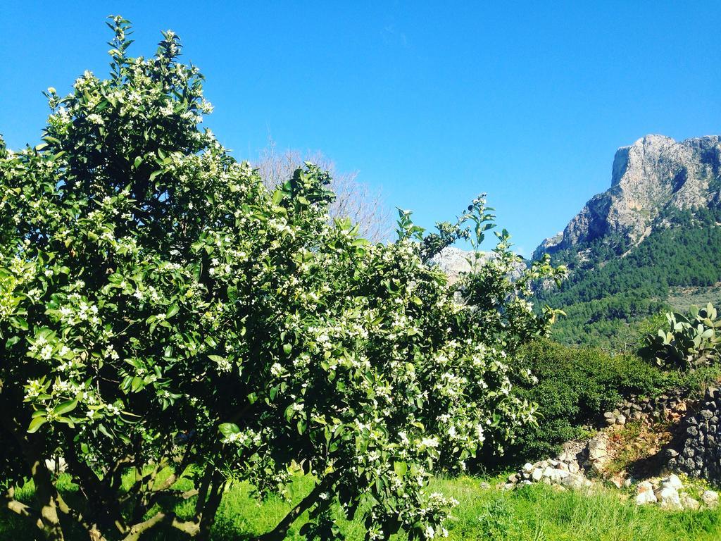 Cas Sant Agroturismo Sóller
