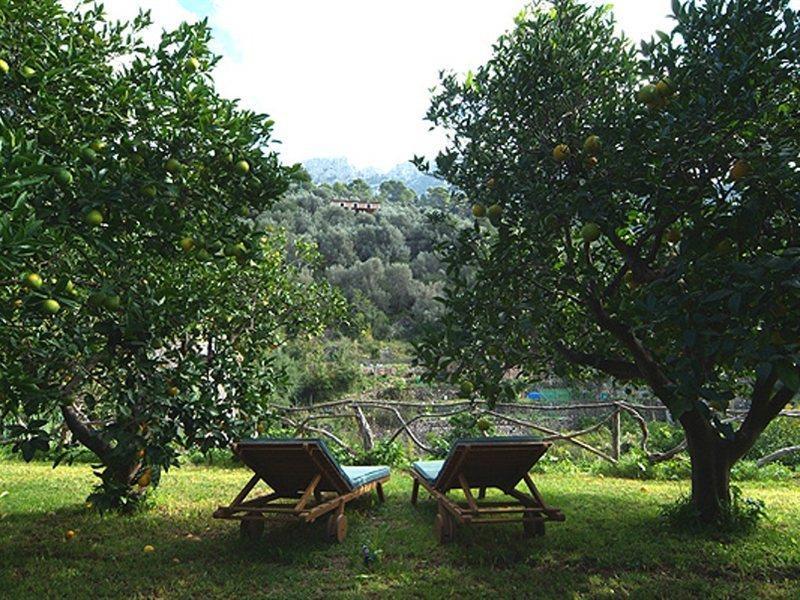Petit - Turismo De Interior 3* Fornalutx