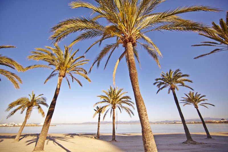 Mll Caribbean Bay