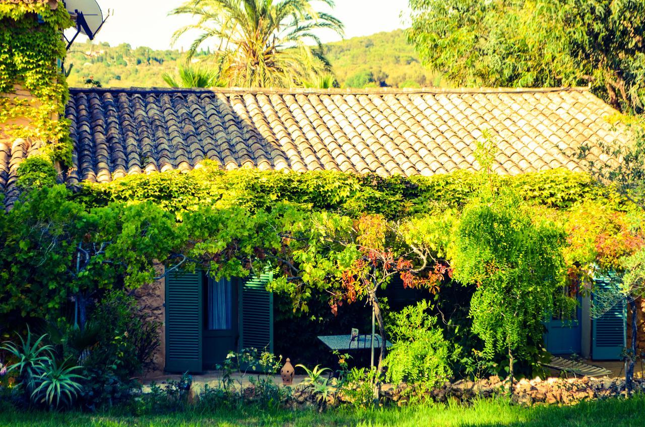 Hotel Son Vent Cas Concos