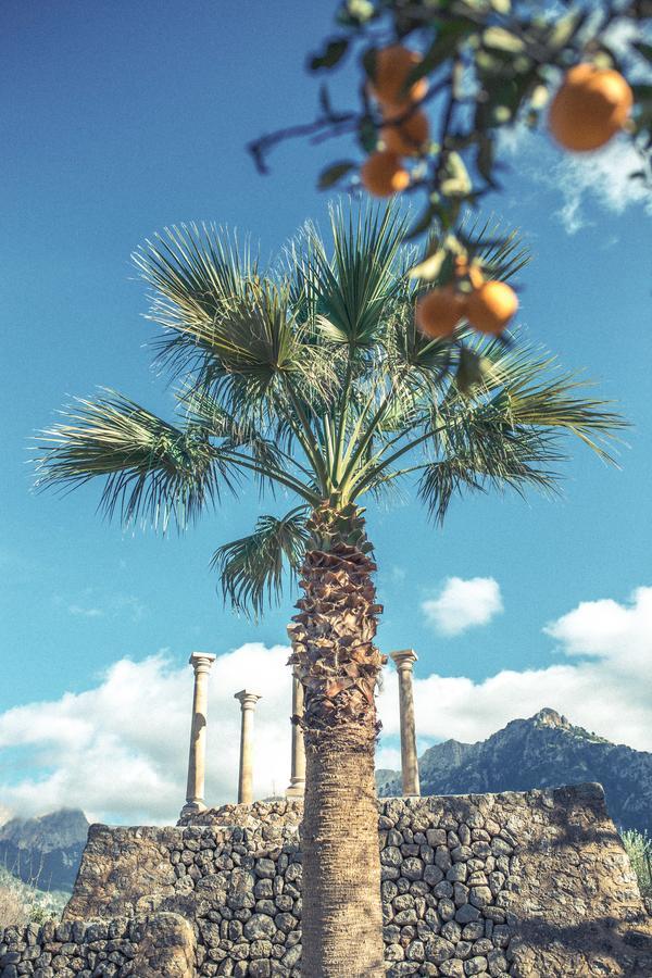 Cas Sant Agroturismo Sóller