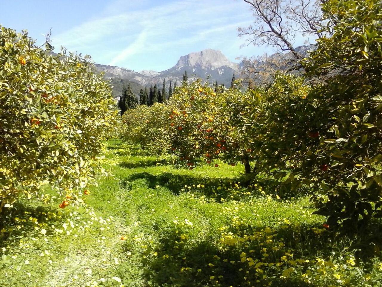 Agroturismo Cas Sant *