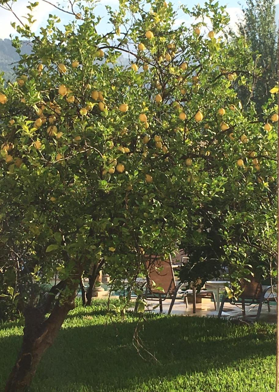 Cas Sant Agroturismo Sóller