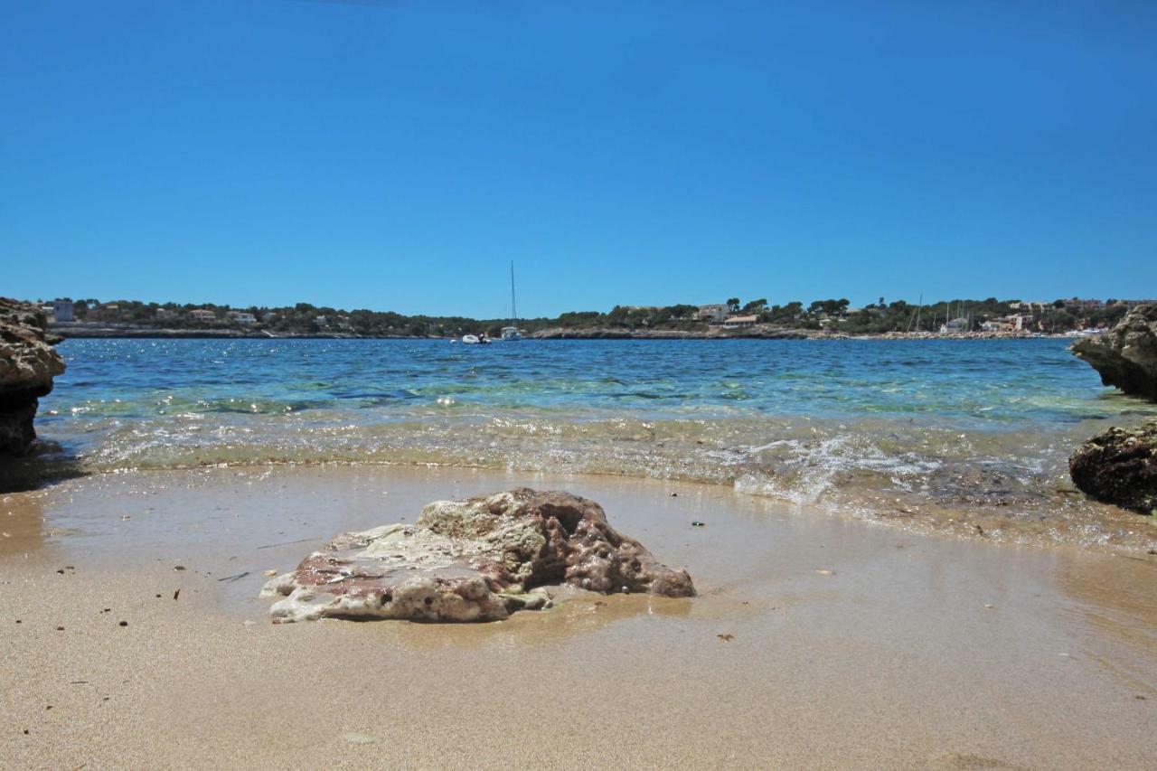 Niu D'aus Apartahotel Portopetro