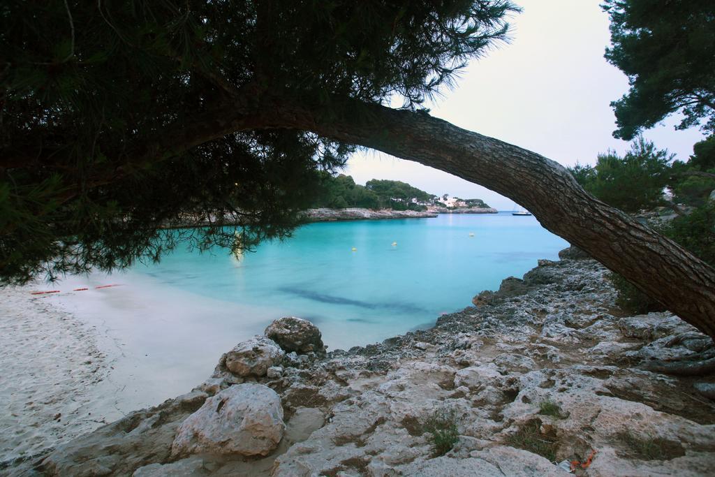 Tui Blue Rocador - Adults Only 3*