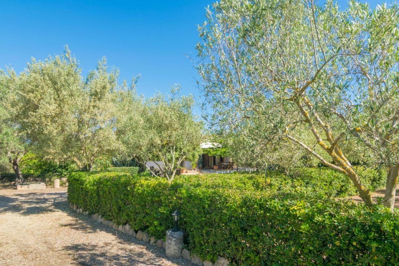 Villa Mostatxet Can Picafort (Mallorca)