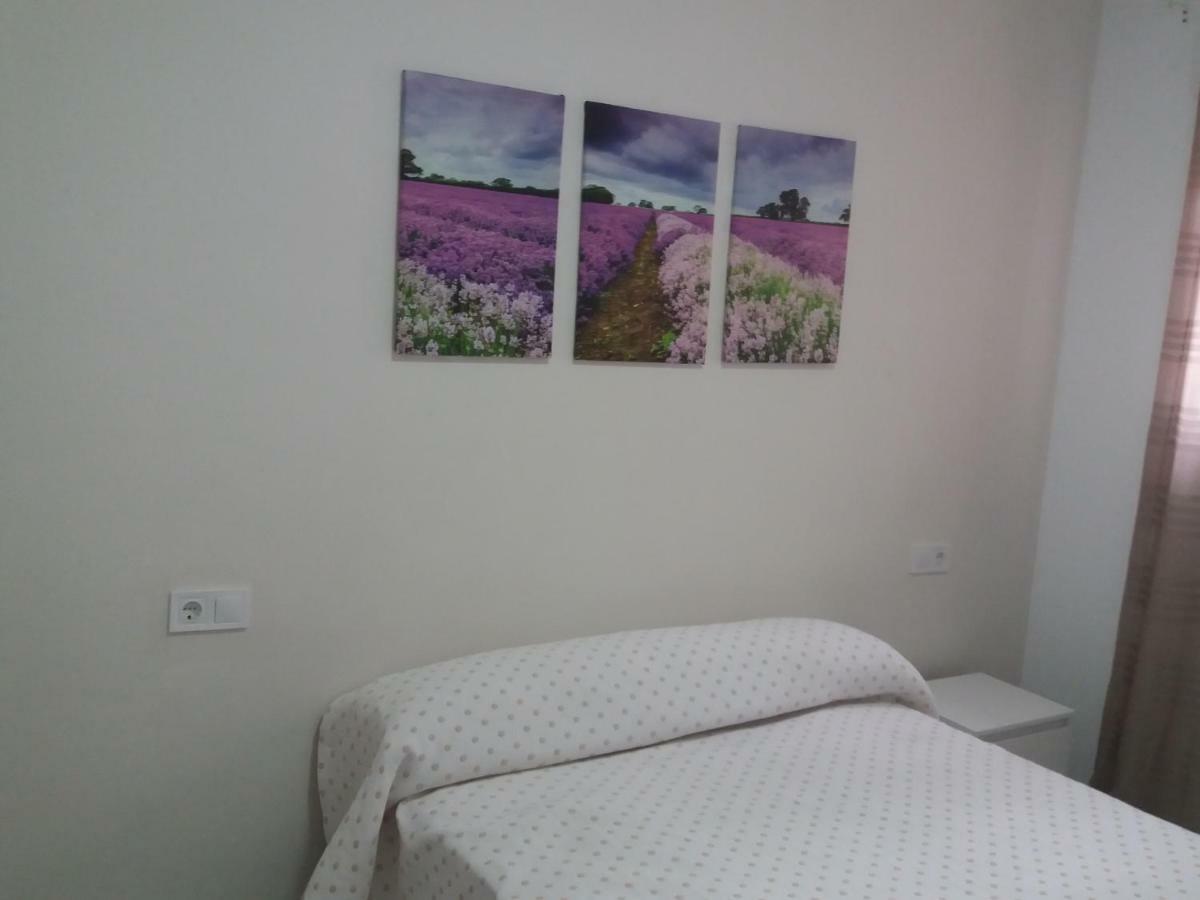 Son Sunyer Apartment