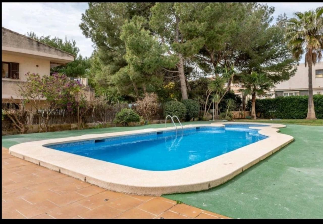 Ronda Playa Apartamento Can Picafort (Mallorca)