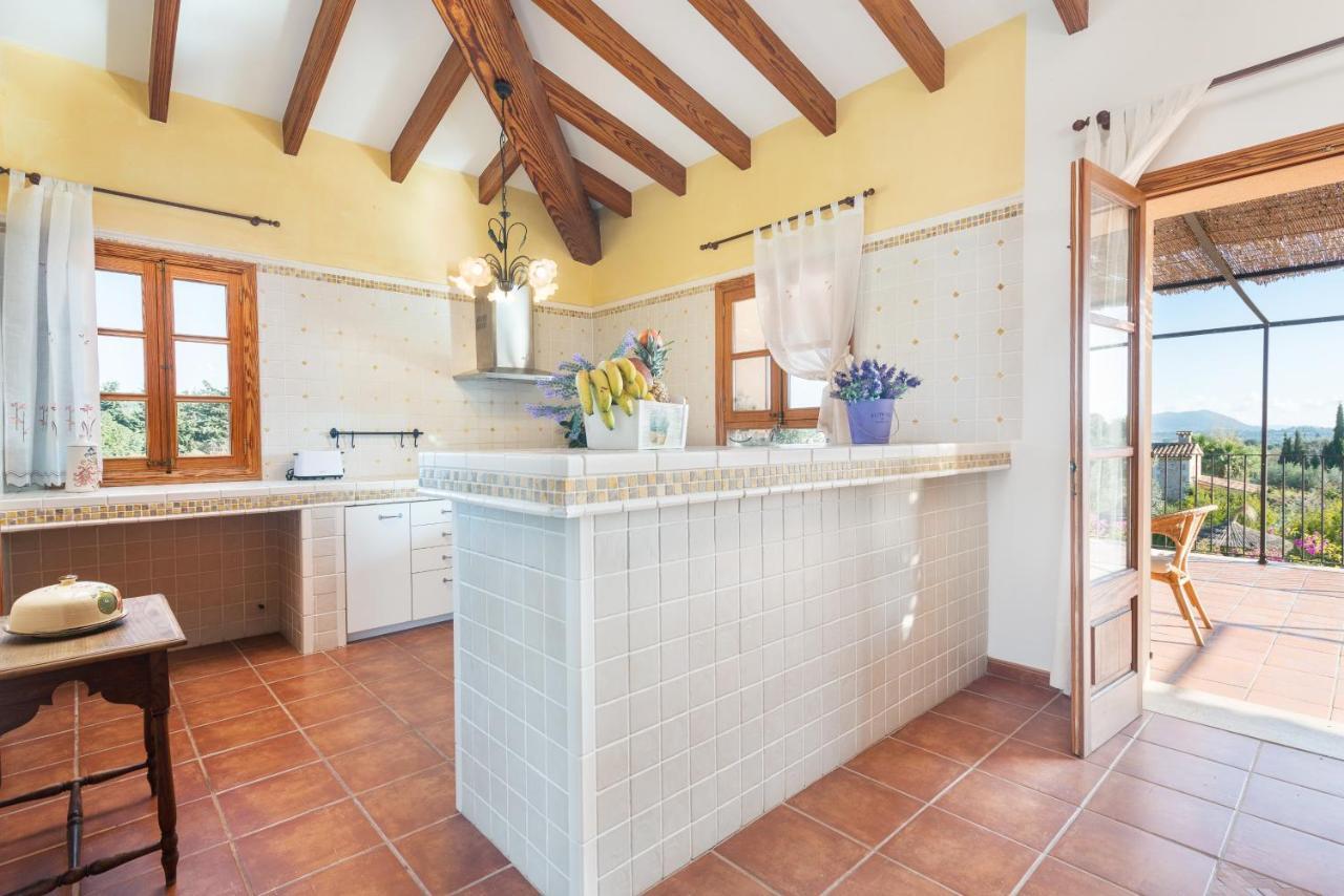 Cas Colector Villa *