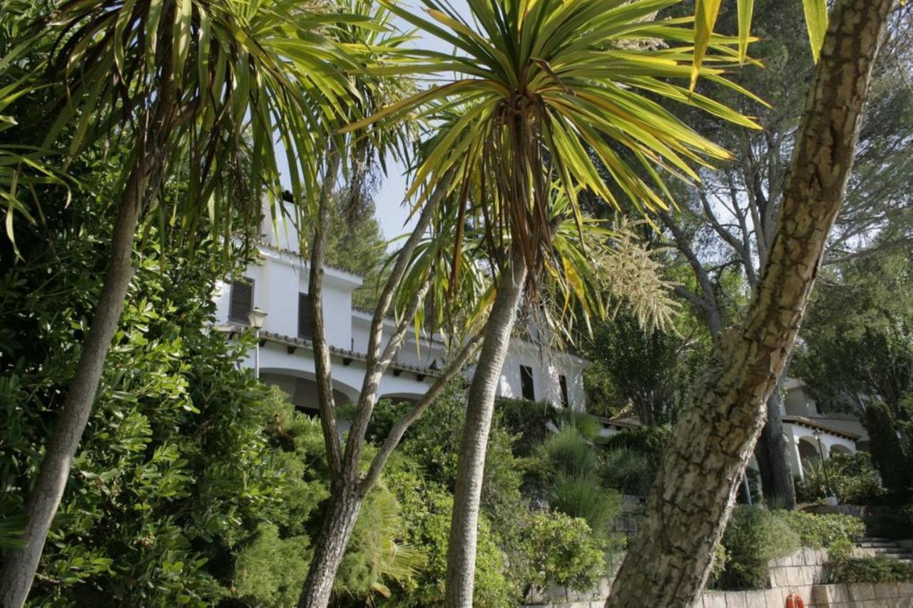 Botana 3 * Cala San Vicente (Mallorca)