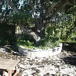 Marina Nou Cerca Del Golf