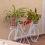 Luxurious Villa Sol De Mallorca