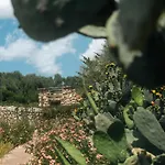 Finca Sa Cova Vella