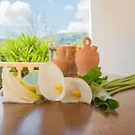Villa Colonya Jaume-3 Bedrooms, Private Pool Near Pollensa