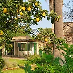 Sa Sinia Finca En El Corazon De La Tramuntana