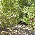Villa Cala Padri