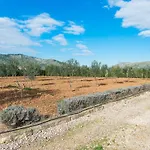 Villa Romans