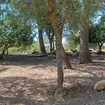 Finca Son Baulo