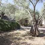 Villa Es Coco, Soller