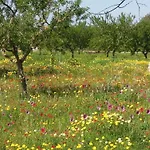 Villa Romantic Ses Mires