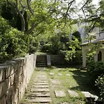 Botana 7