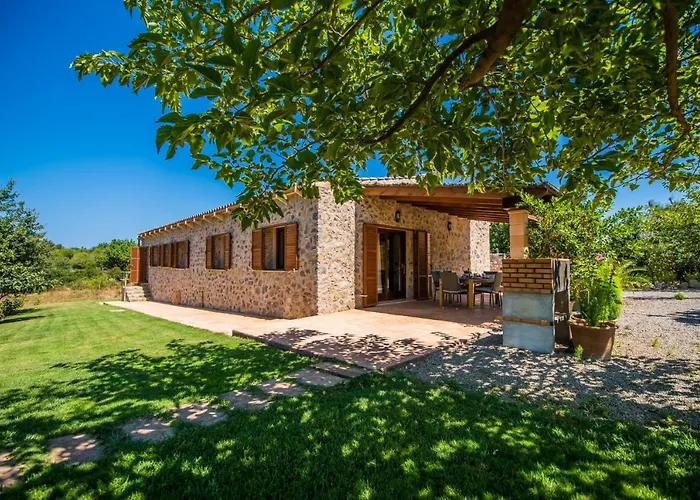 Ideal Property Mallorca - Mamici
