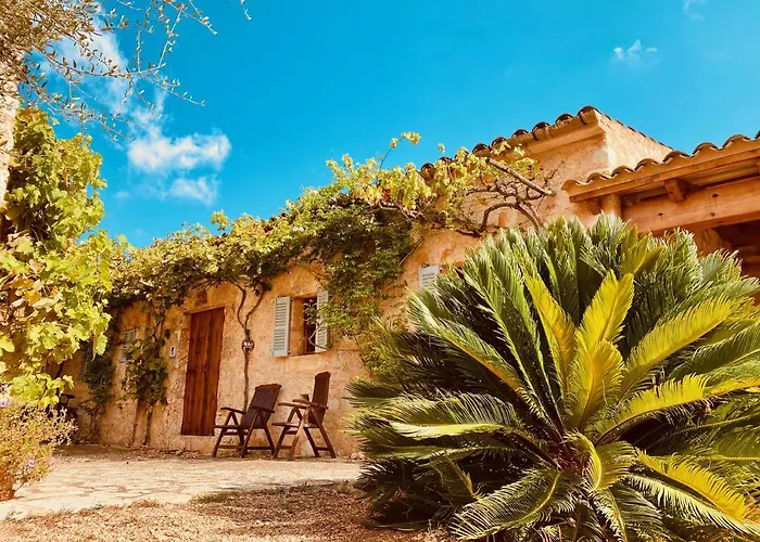Finca Sa Moleta Nou