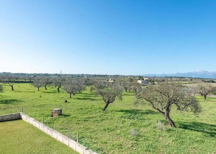 Villa Vernisa 454