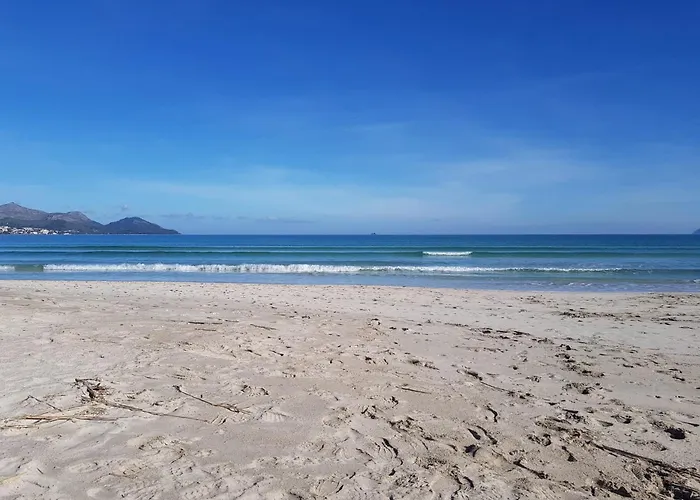 Ideal Property Mallorca - Playasol