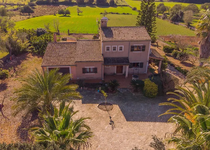 Finca Miguel Tomas